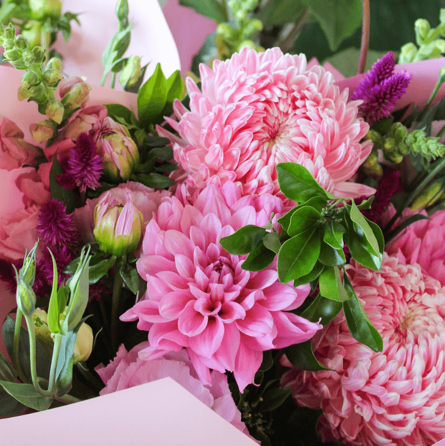 Same Day Flower Delivery in Morayfield – Blooming with Joy! - The Posy Co