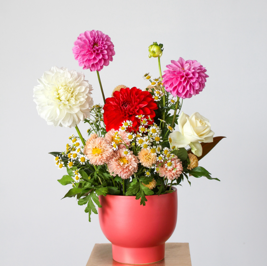 Spread Happiness with Flowers in Caloundra - The Posy Co